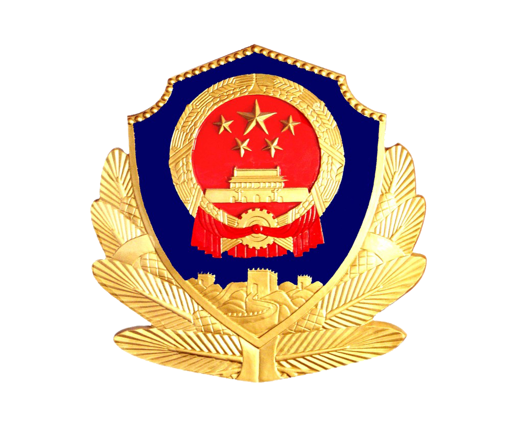 管理员登录 - 广西壮族自治区公安法制互联网信息服务平台