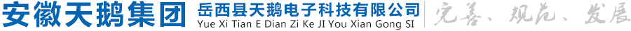 岳西县天鹅电子科技有限公司-安徽天鹅集团