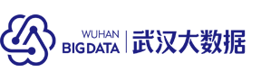 武汉大数据 - 数据创造价值，创新引领未来
