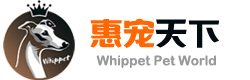 惠宠天下 惠比特犬 Whippet 中国惠比特自己的血统记录，中国人玩自己的狗。