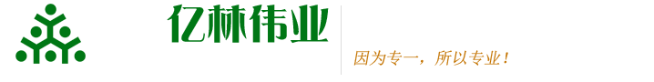 运动木地板,体育木地板,舞台木地板 - 大连亿林伟业舞台装饰工程有限公司