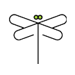 荷尖蜻蜓