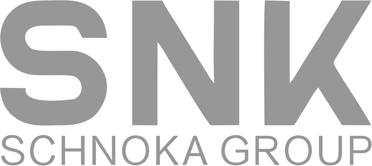 3D机器视觉系统-提供机器视觉检测解决方案-SNK SCHNOKA GROUP