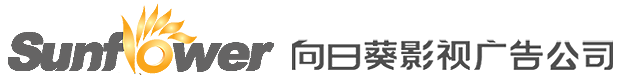 淄博广告公司,向日葵影视广告公司,专题片宣传片拍摄,短视频制作,无人机航拍,PPT制作,VI设计