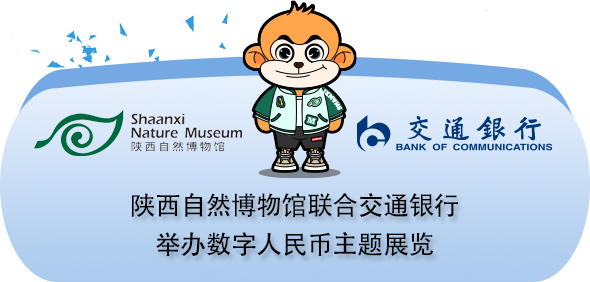 陕西自然博物馆-陕西自然博物馆