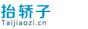 抬轿子-创意众筹创业众筹融资平台, Taijiaozi.cn-上海朗铭数码科技有限公司