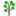皂角树-分享各类植物种植技术及知识