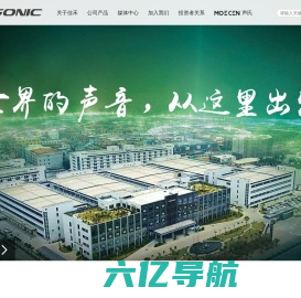 佳禾智能科技股份有限公司-cosonic