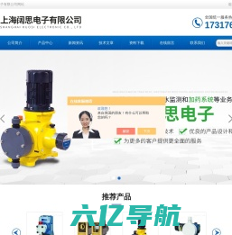 SEKO隔膜计量泵-LMI电磁|NIKKISO加药计量泵-柱塞泵-上海阔思电子有限公司