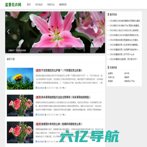 雪在香盆景网 - 国内最专业室内盆景，花卉盆栽在线交易第一平台