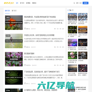 新奇点 - 专业SEO推广、电商营销服务平台