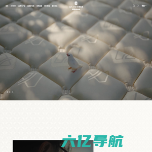 雅兰床垫-会呼吸的床垫-中国高端床垫-国潮床垫品牌