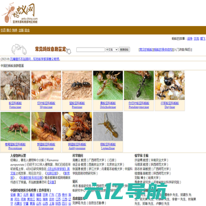蚂蚁网-蚁网-东亚、东北亚、南亚及东南亚地区蚂蚁-全球最大的华语中文蚂蚁专业网站