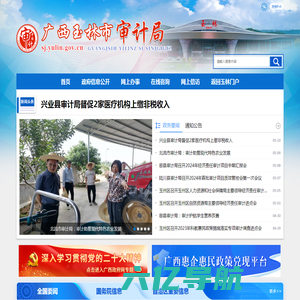 广西玉林市审计局网站