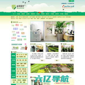 上海植物租赁公司_上海办公室绿化植物花卉租赁养护_金荷园艺
