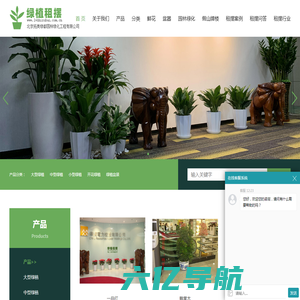 绿植租摆-绿色植物-北京绿植租摆-办公室绿植租摆-绿植租赁
