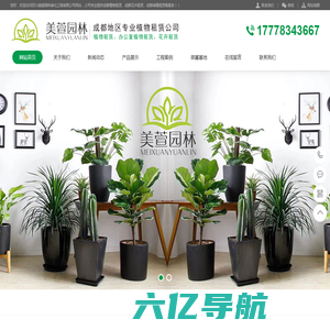 成都绿植花卉租赁-办公室植物租摆公司-四川美萱园林绿化工程有限公司