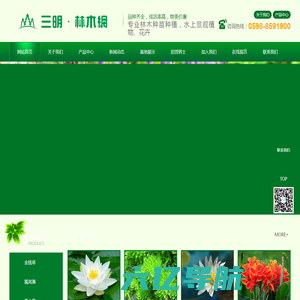 三明林木网-景观苗木-花卉盆景