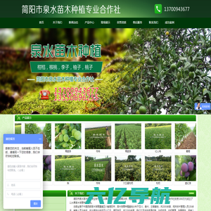 首页--简阳市泉水苗木种植专业合作社