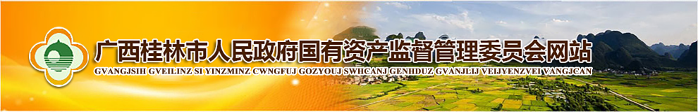 广西桂林市人民政府国有资产监督管理委员会网站