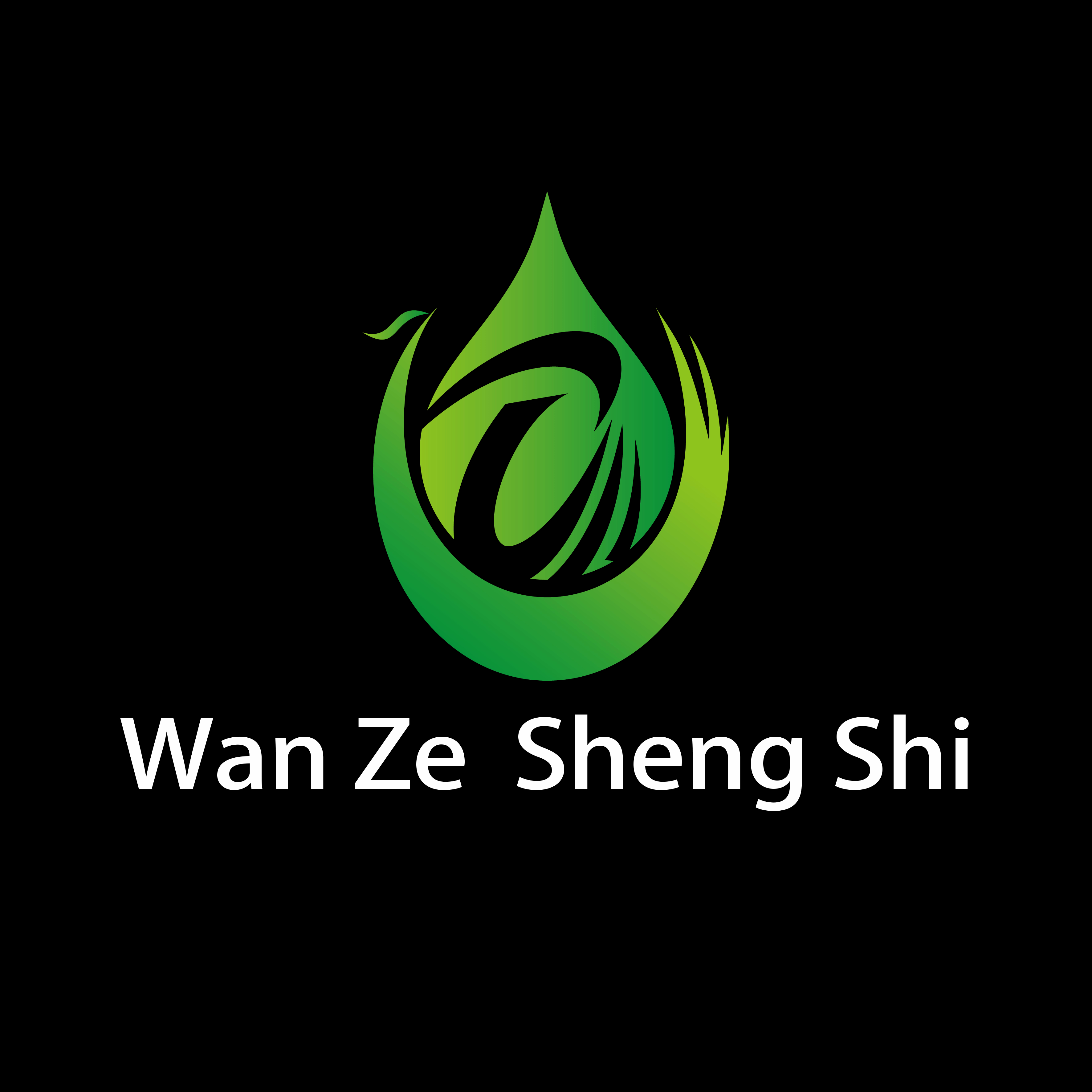Integrated sewage treatment equipment, Dissolved air flotation machine, Manure and sewage integrated machine, Reverse osmosis filtration membrane element, Anaerobic reactor – Shandong Wanze Shengshi Environmental Protection Technology Co., Ltd