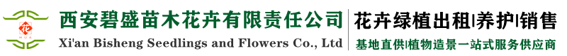 西安绿植租赁公司|办公绿植租赁|办公室花卉租摆|室内绿植养护|植物造景公司